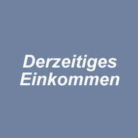 derzeitiges-einkommen