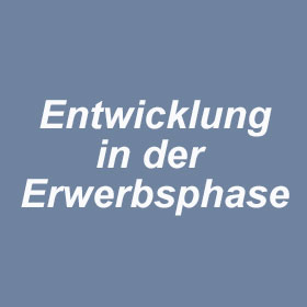 entwicklung-in-der-erwerbsphase